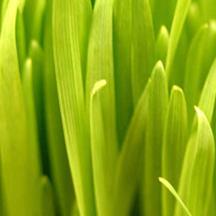 令人欣喜的ddos在线攻击工具